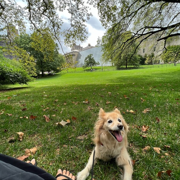 Meet your Posher, Lena - Picture 1 of 1